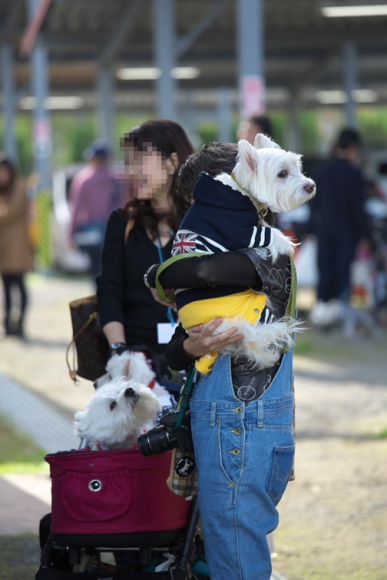 b0242873_00421579.png
