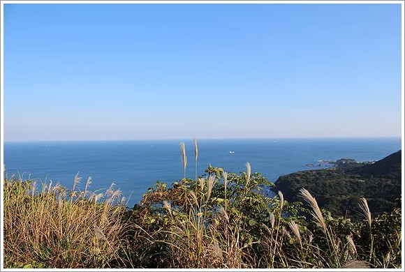 b0111376_13111237.jpg