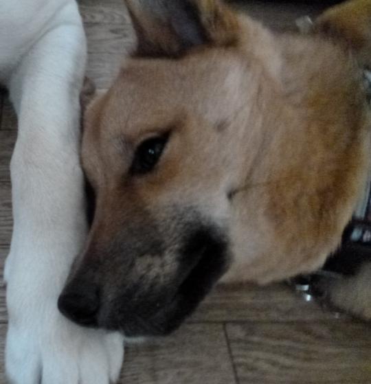 c0364176_22435718.jpeg