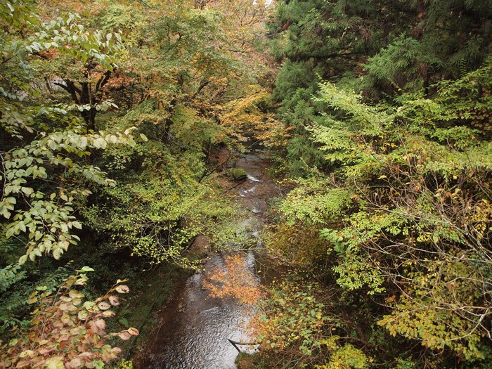 『紅葉と滝風景(釜ヶ滝を少し散策)』_d0054276_20303592.jpg