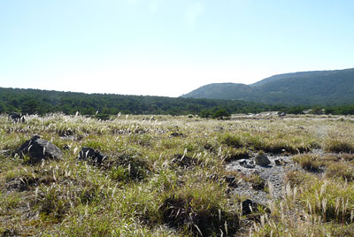 c0152779_12483044.jpg