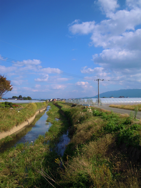 a0082884_21165821.jpg