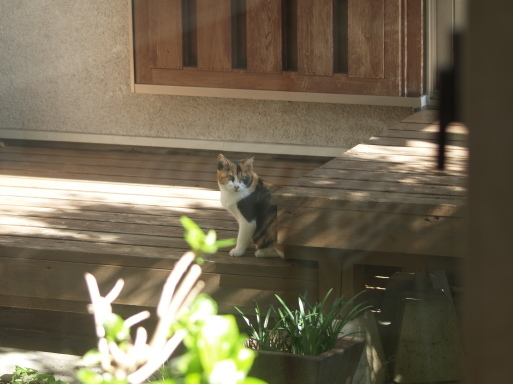 まるまると太っちゃってます_f0197985_10374995.jpg