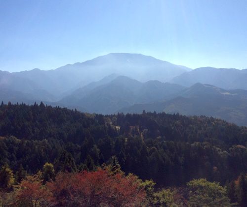d0021786_2114126.jpg