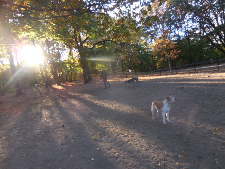 c0253487_23442784.jpg