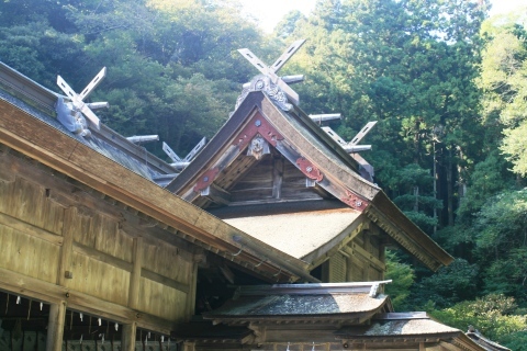 c0310987_10265251.jpg