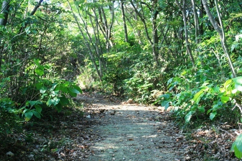 c0310987_10341438.jpg
