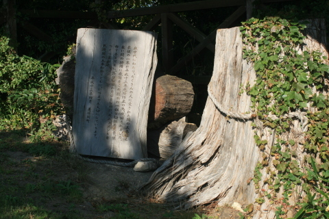 c0310987_10345942.jpg