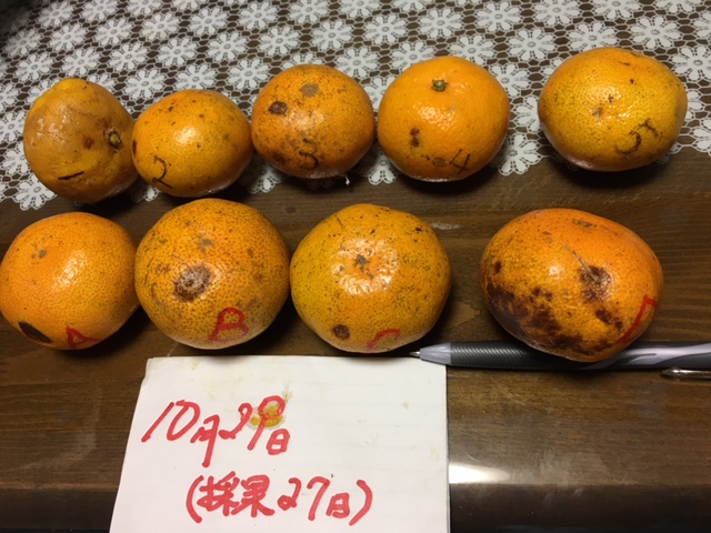 腐り具合_d0141987_13294065.jpg