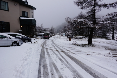 雪降りの朝_e0120896_09154121.jpg