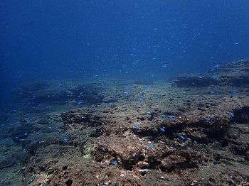 f0079996_17301936.jpg