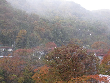 ★水上アクアワールド～月夜野～川場～沼田★_e0147297_1437768.jpg