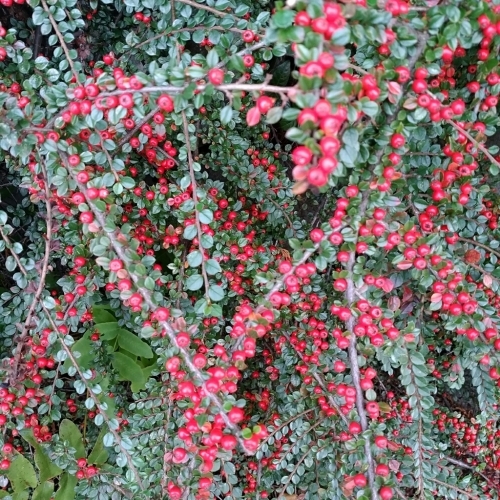 d0174598_20271274.jpg