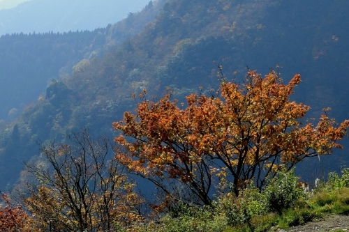 e0304001_21553486.jpg