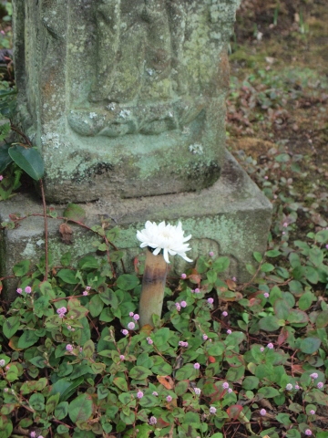 秋のお出かけ･･････鎌倉２_b0331802_21382856.jpg