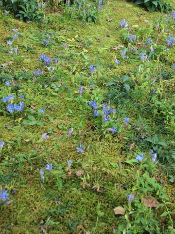 秋のお出かけ･･････鎌倉２_b0331802_21383440.jpg