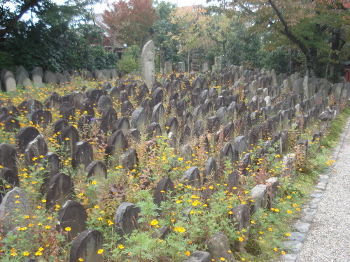 e0353802_09260759.jpg