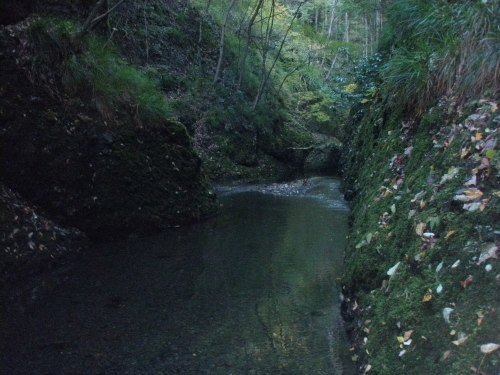 d0342206_23500377.jpg