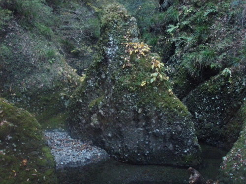d0342206_23502813.jpg