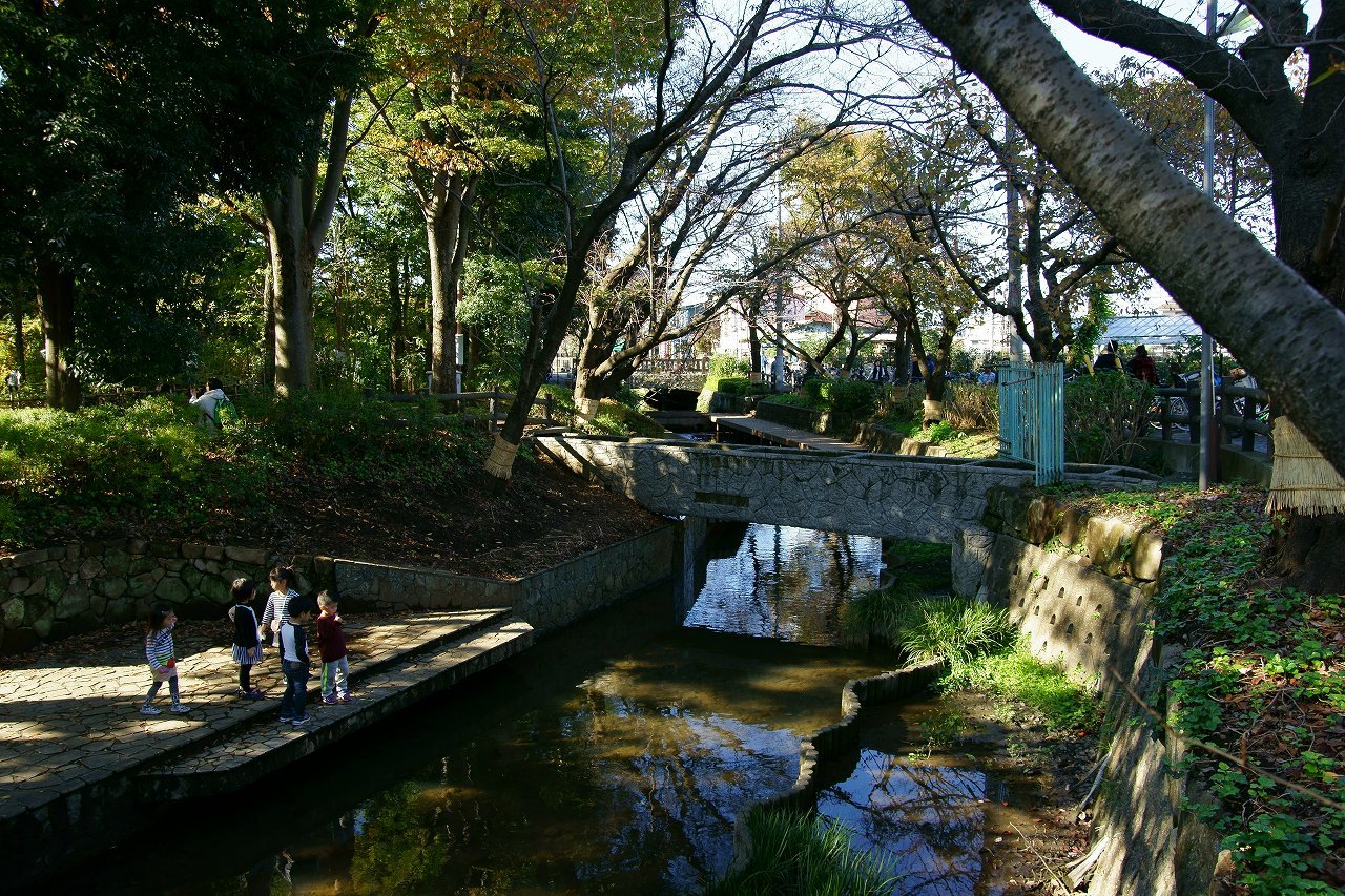 川崎市緑化センターの秋～後編_b0225108_17163411.jpg