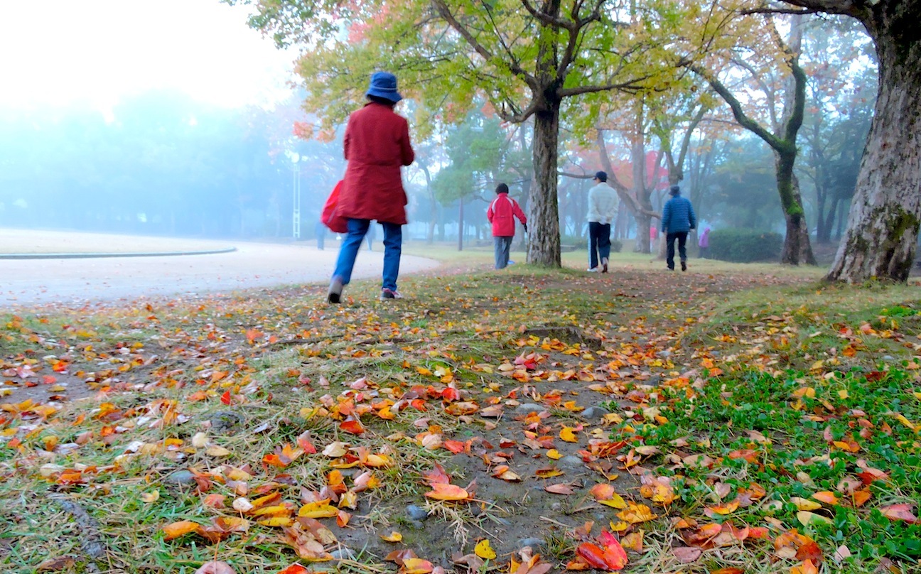 幾久公園　2016【211】11月12日（土）_c0078410_09255348.jpg