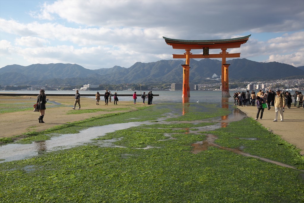 紅葉の宮島(2016/11/11)_c0346710_06323898.jpg