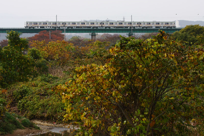 b0353411_13502470.jpg