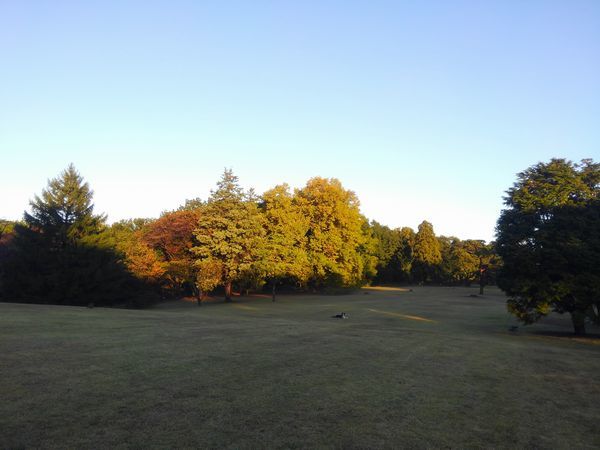 d0224111_10025674.jpg