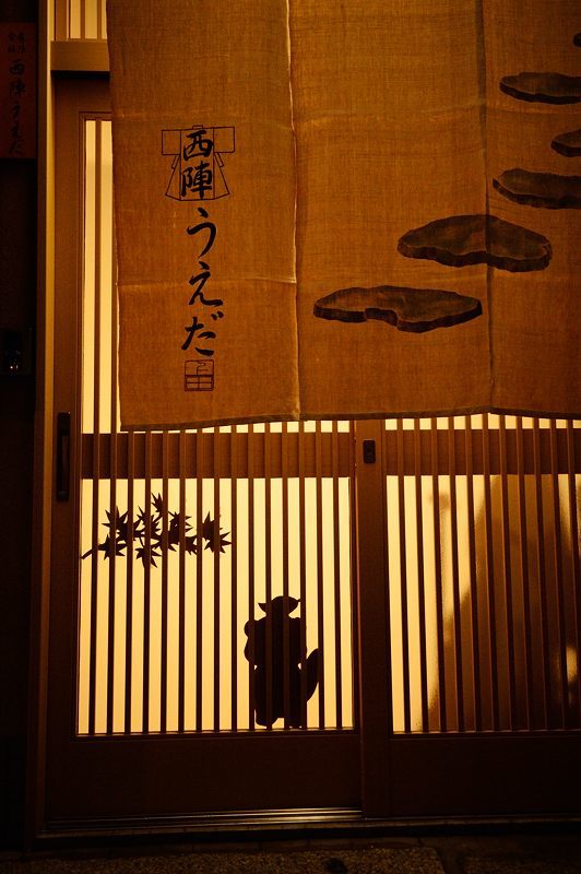 都ライト2016 其の一_f0032011_17051212.jpg