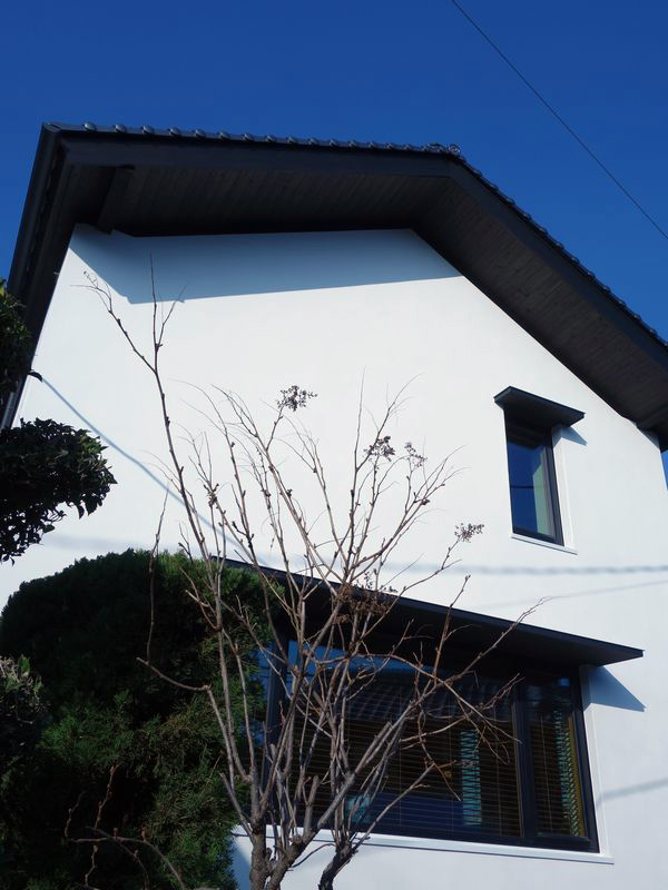b0131012_171244.jpg