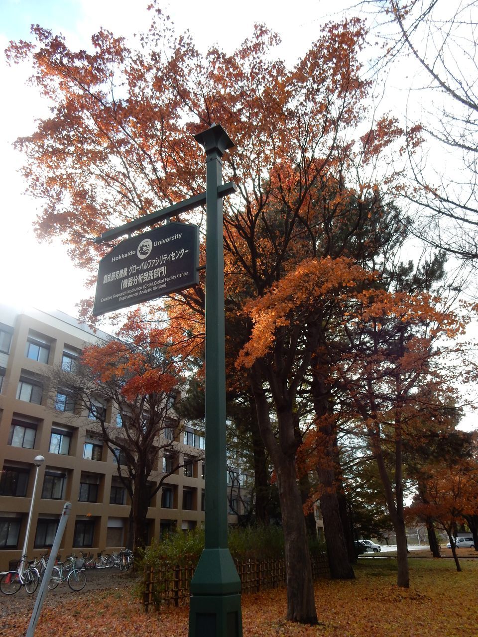 c0025115_20445244.jpg