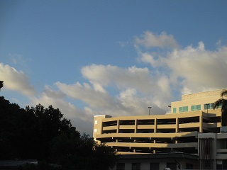 a0242019_331386.jpg