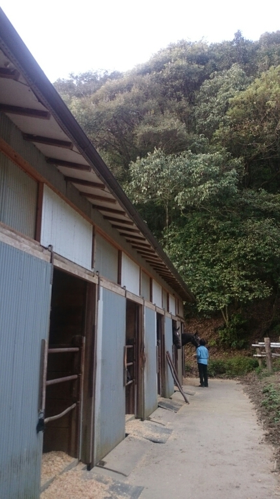 b0187620_17564325.jpg