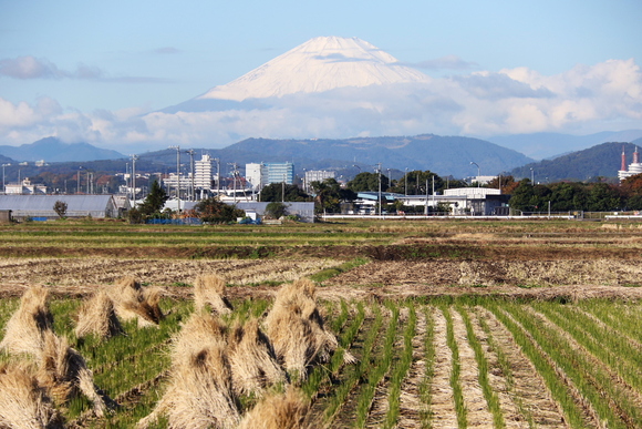 けさの、富士山_d0240223_10581938.jpg