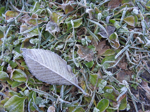 b0174425_18374203.jpg