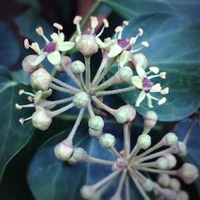 f0309325_08205586.jpg