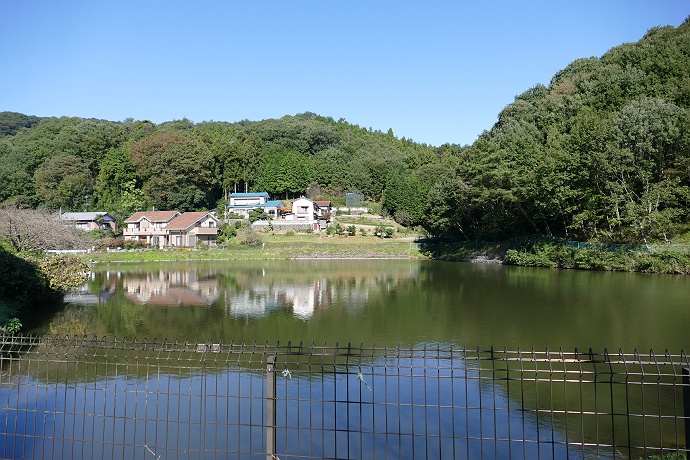 寄居・鐘撞堂山　その3_c0196928_7275264.jpg