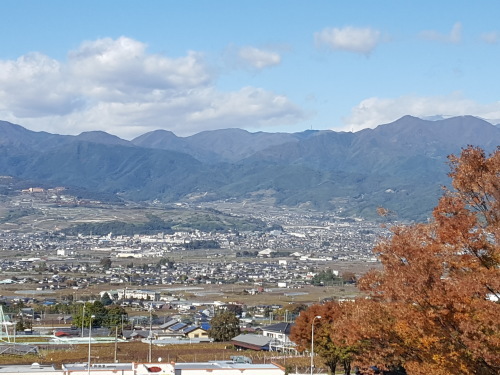 トランプだろうが栗キントンだろうが安倍川餅だろうが_e0016828_11272583.jpg