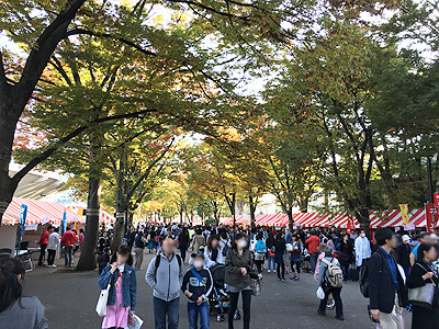 雑記11 14 Nhk文化祭16で コレナンデ商会 のセットを見る ゴチログ Gotthi Log