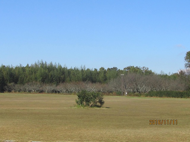 f0054429_2248213.jpg