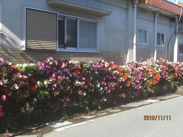 f0054429_22562369.jpg
