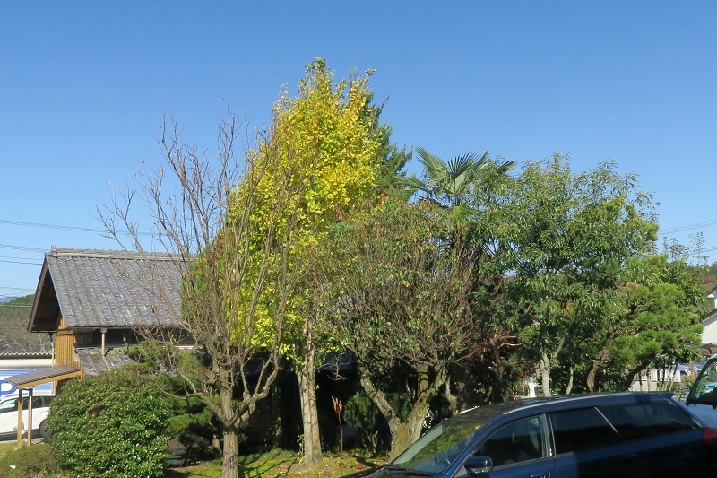 スバルと焚き火_f0076731_21590286.jpg