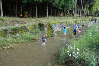 f0224632_5405729.jpg