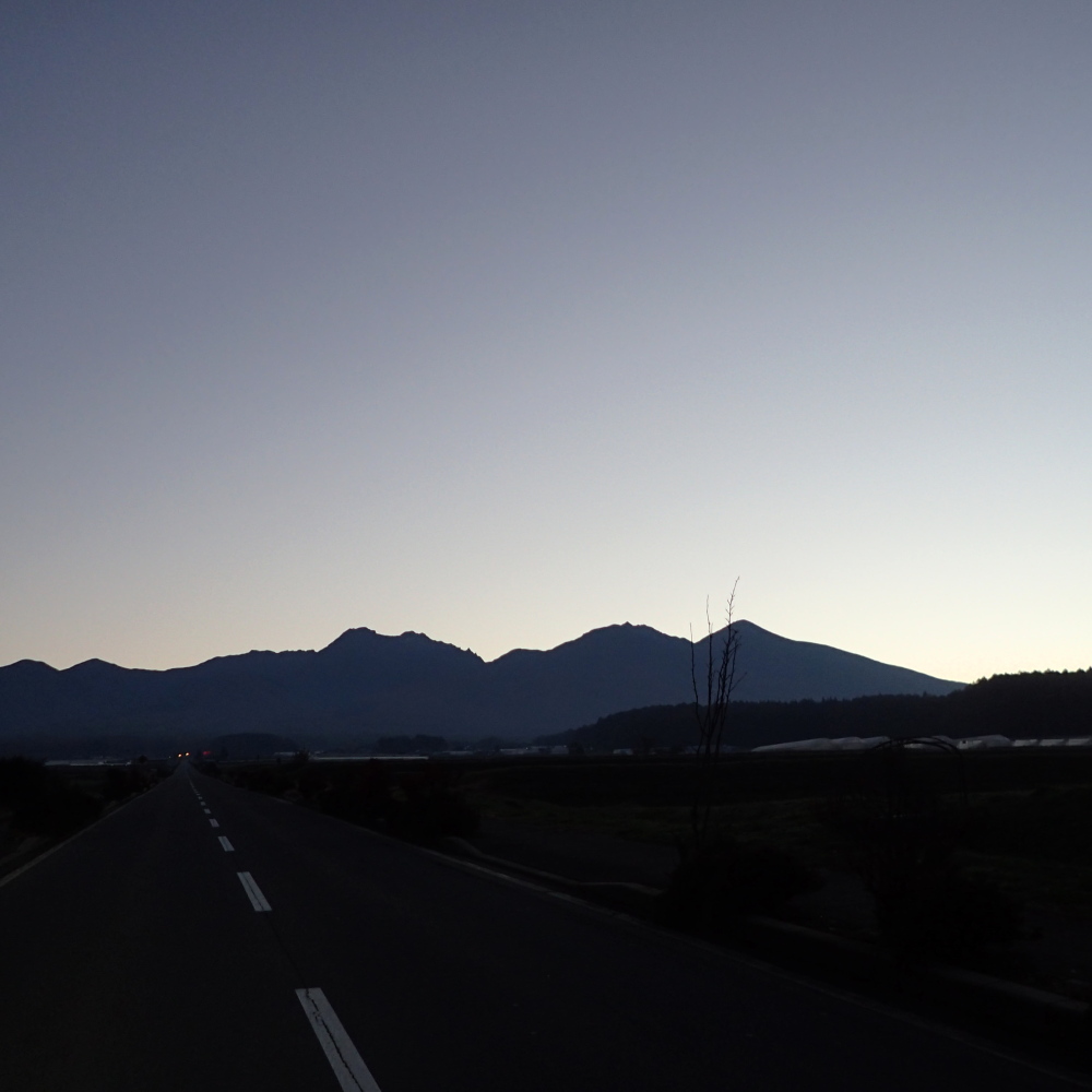d0169937_17463373.jpg