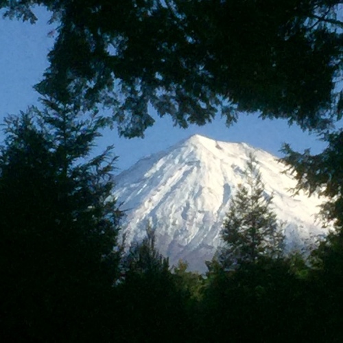 b0369239_17064152.jpg