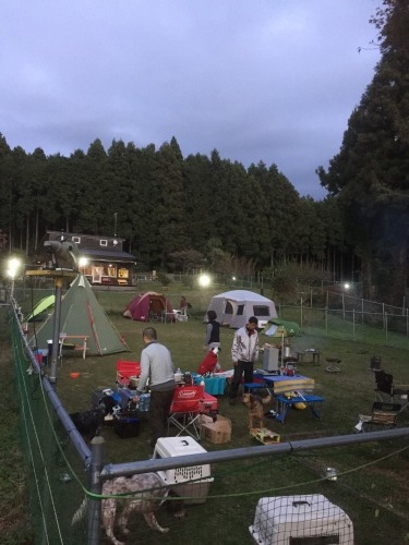 b0369239_17113699.jpg