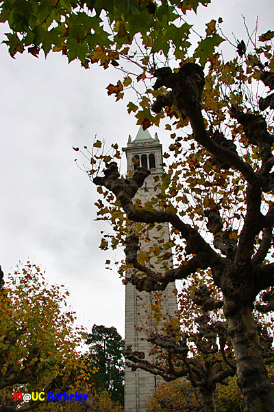 alma mater II_c0050039_191641.jpg