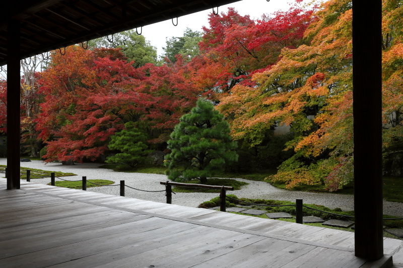 錦色の京都　南禅寺　天授庵_b0325840_00272112.jpg