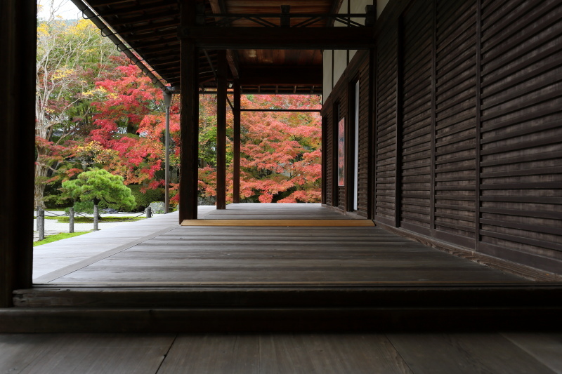 錦色の京都　南禅寺　天授庵_b0325840_00301242.jpg