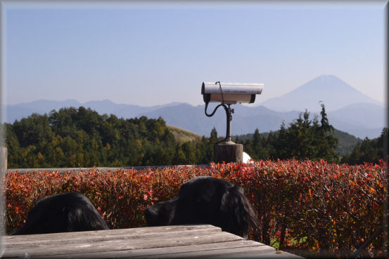 f0363141_5334528.jpg